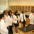 Mentoring Services for Students in Philadelphia, PA: A Comprehensive Guide